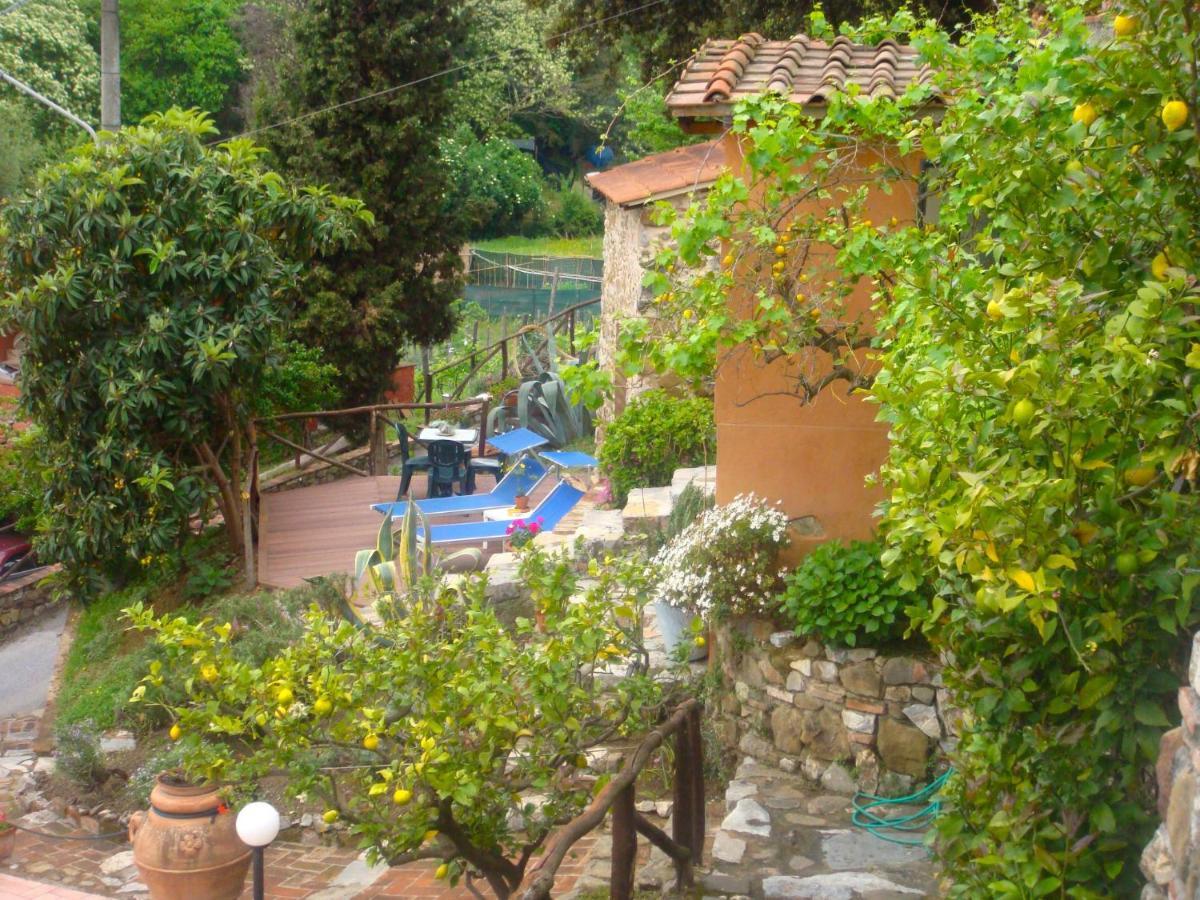 Locazione Turistica Bruna Massarosa Esterno foto